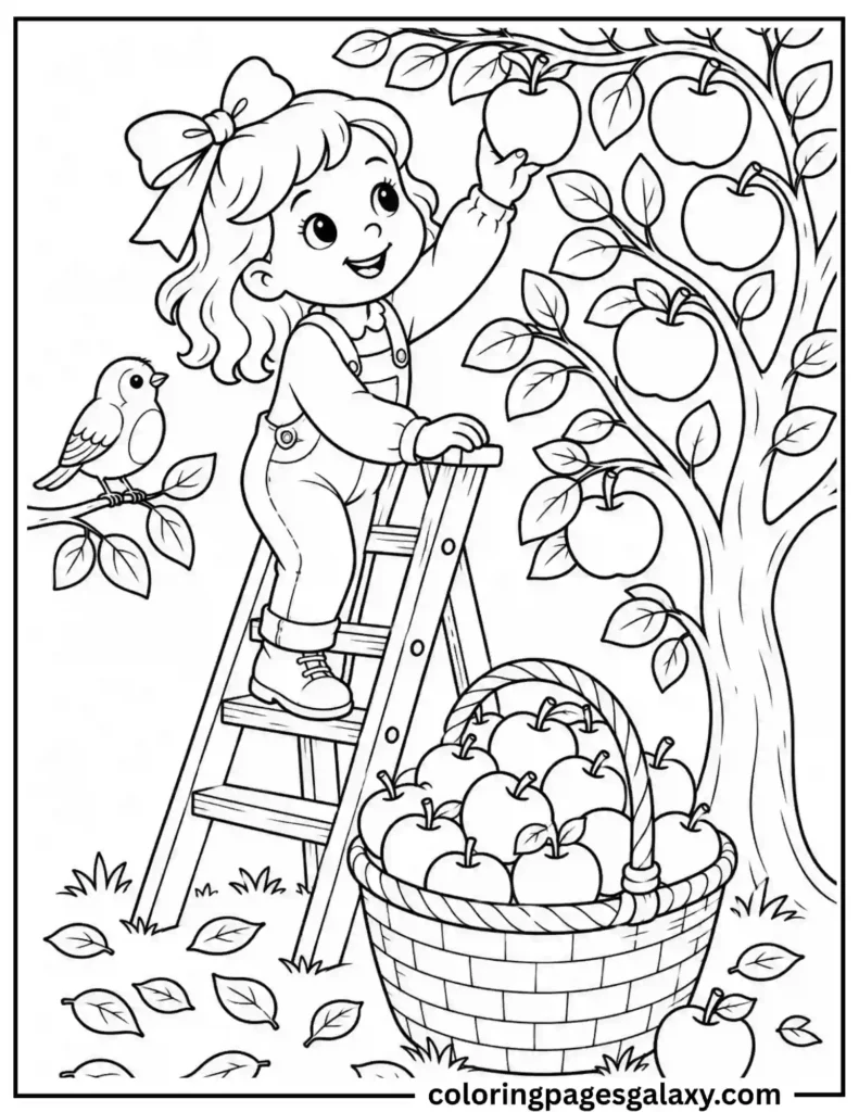Cute Girl Picking Apples From A Ladder Coloring Page