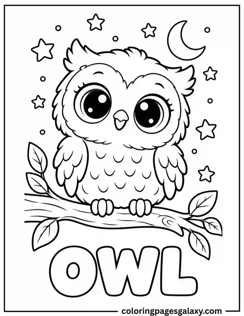Owl On A Branch Coloring Page